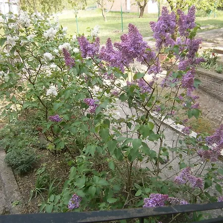 Apartman Zánka-balaton *
