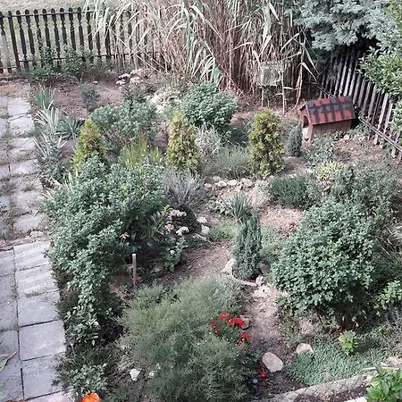 Zanka-balaton * Zánka