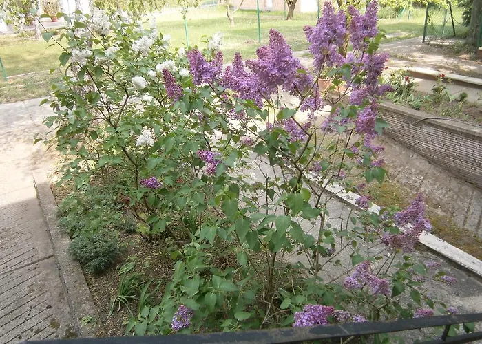 דירה Zanka-balaton *